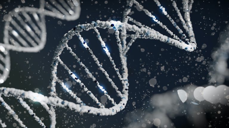 Imagem de DNA ilustrando matéria de melhoramento genético.