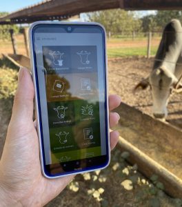 Na imagem, temos ao fundo, um animal bovino se alimentando em um pasto com fundo desfocado e árvores ao fundo. Em destaque, temos uma mão feminina segurando um celular na tela inicial do iRancho. Foto ilustra matéria de gestão de pessoas na fazenda.