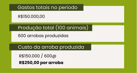 Custo da arroba